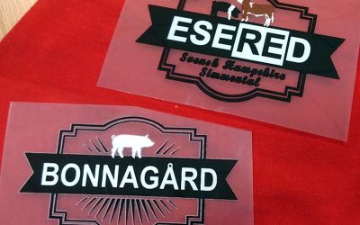 Eco Flex Transfer till Esered / Bonnagård