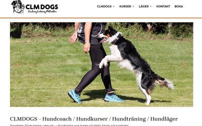Hemsida till CLMDOGS