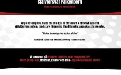 Hemsida till Självförsvar Falkenberg
