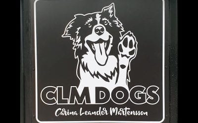 Skyltar till CLM Dogs
