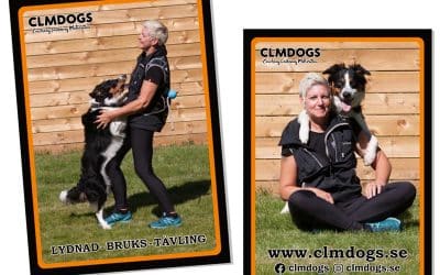 Affischer till CLMDOGS
